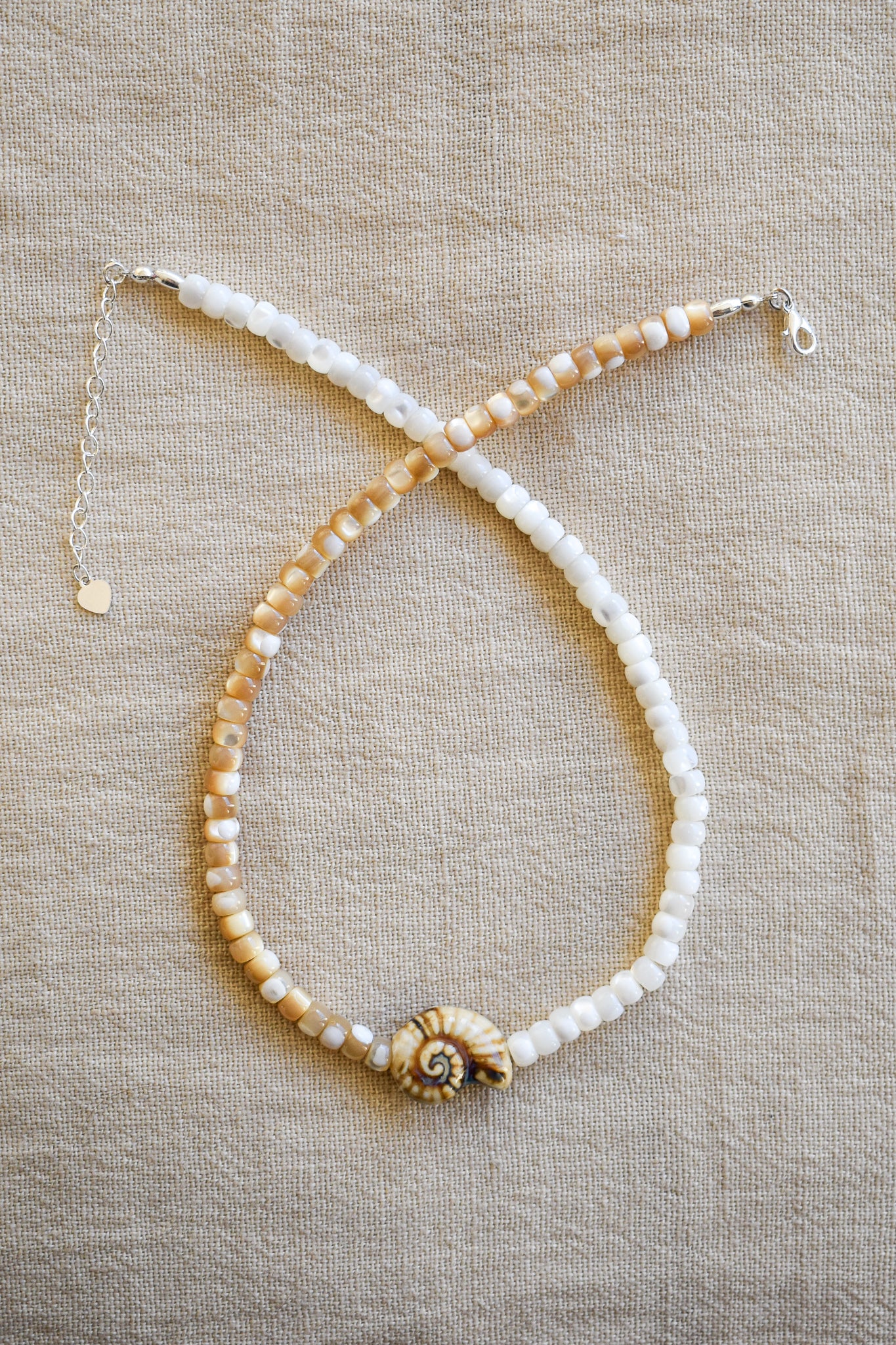 Collar No 23