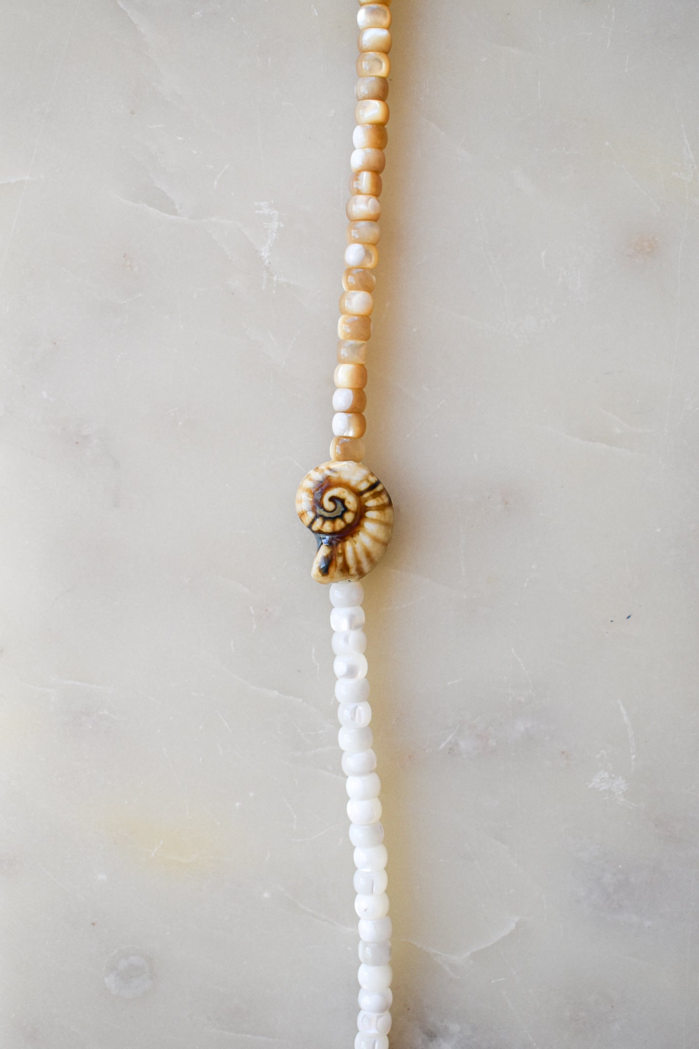 Collar No 23